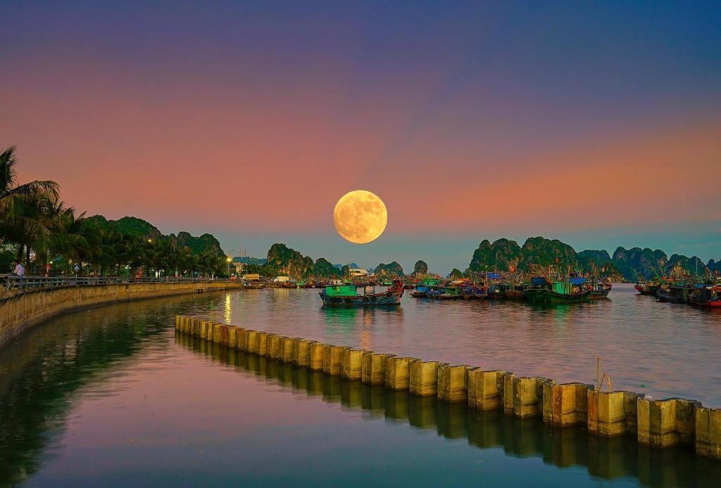 Cozy House Daire Ha Long Dış mekan fotoğraf